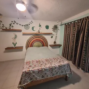Mexico Arte Pensión